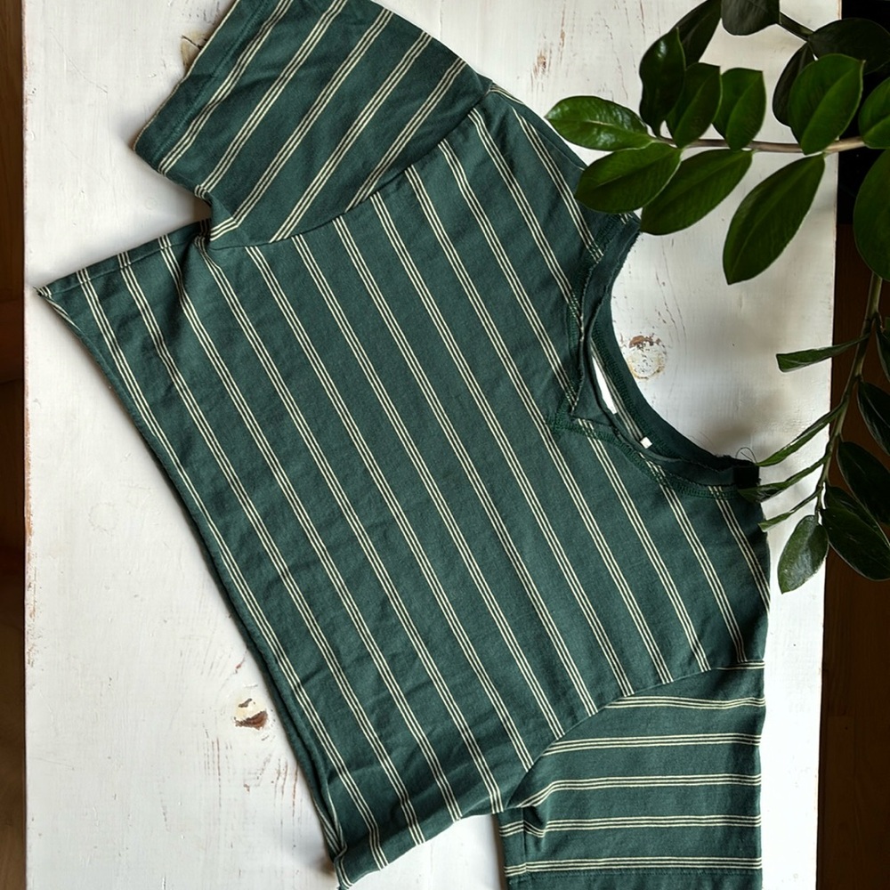Josh Brown Striped Green Crop T-shirt
